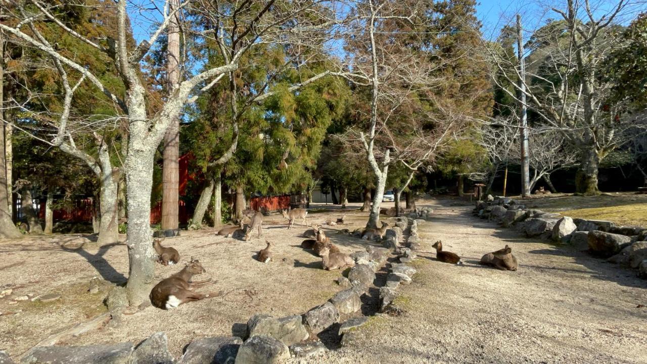 Готель Miyajima Morinoyado Хацукаїті Екстер'єр фото
