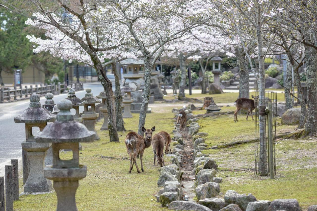 Готель Miyajima Morinoyado Хацукаїті Екстер'єр фото