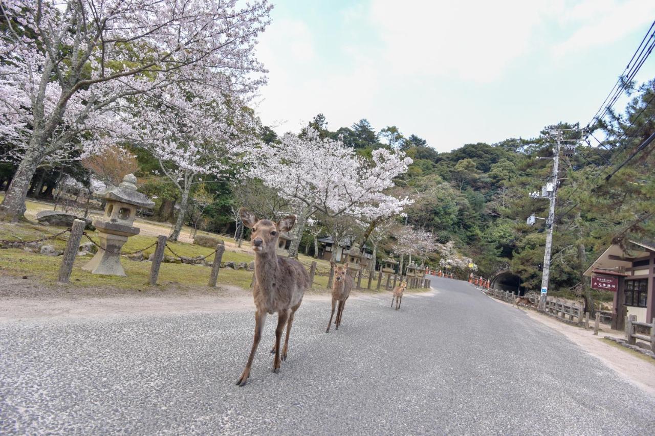 Готель Miyajima Morinoyado Хацукаїті Екстер'єр фото